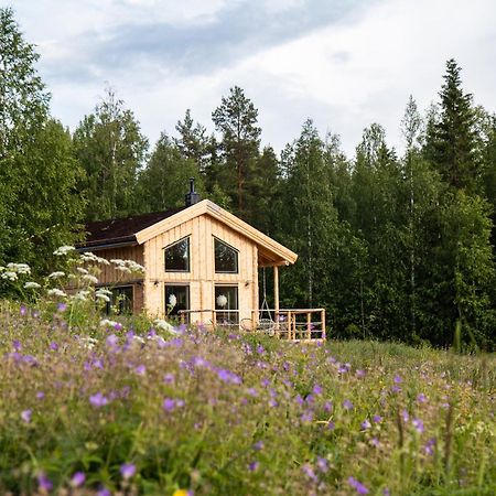 Blueberry Lodge 5 Personnes Mjolan Esterno foto